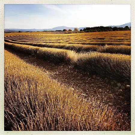 La Campagne De Petre *