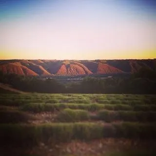 La Campagne De Petre Guest house Entrevennes