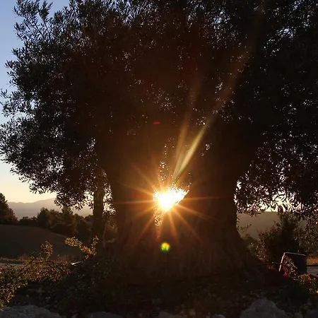 La Campagne De Petre *